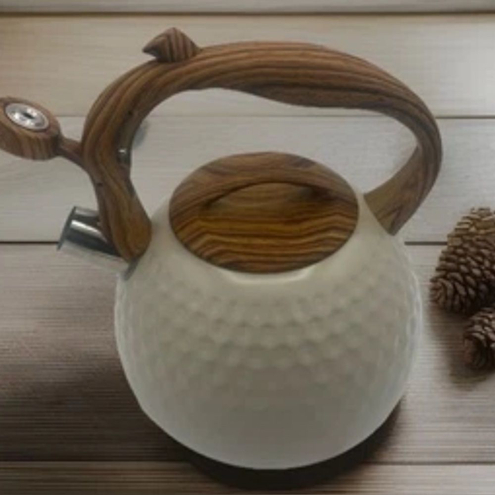 Tea Kettle for Stove Top, Loud Whistling Kettle for Boiling Water, 2.7 Quart